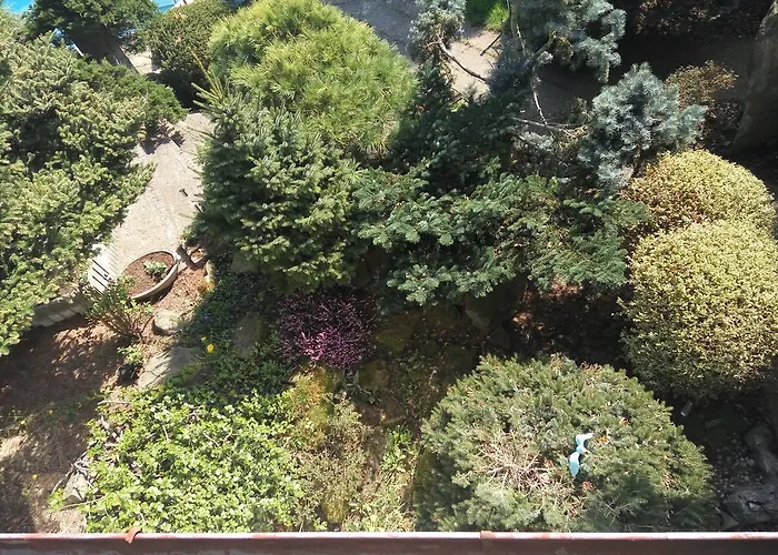 Penzion Bonsai