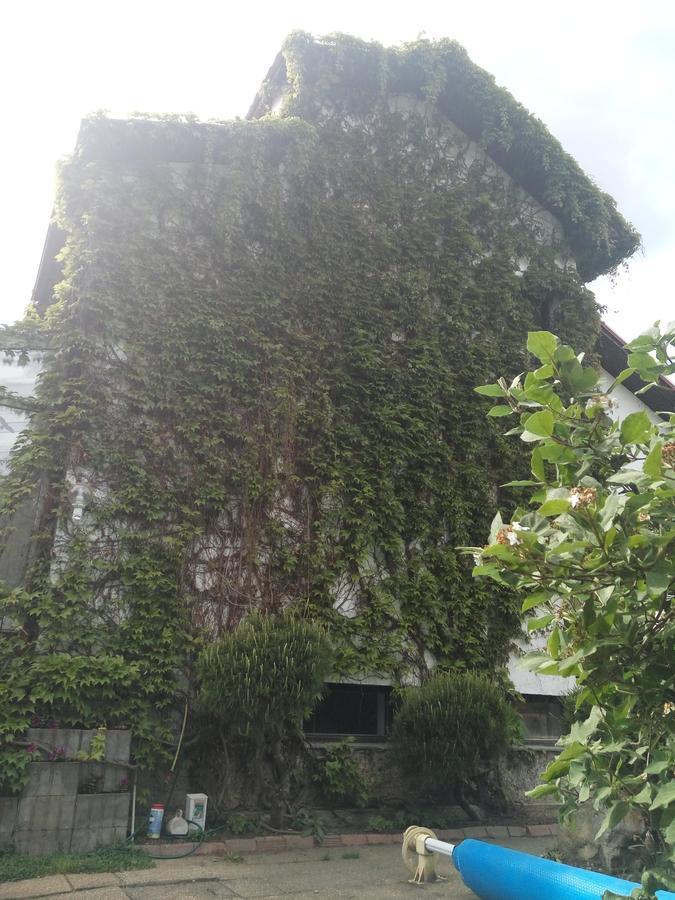 Bonsai Hotel Praag