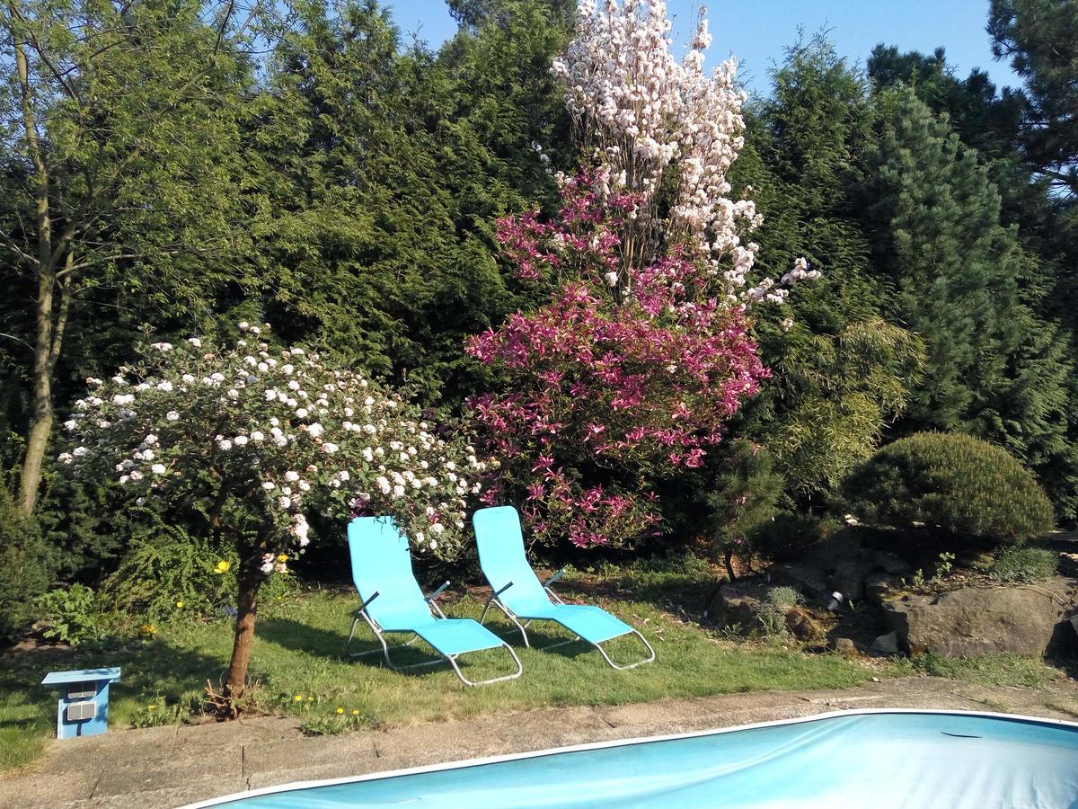 Bonsai Praag
