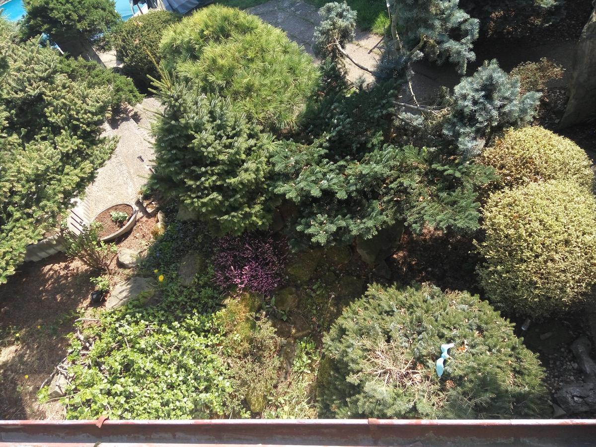 Hotel Bonsai Praag